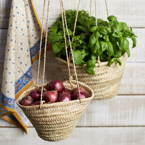 hanging-basket-x-2
